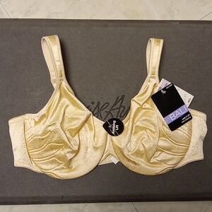 Bali 40D Nwt